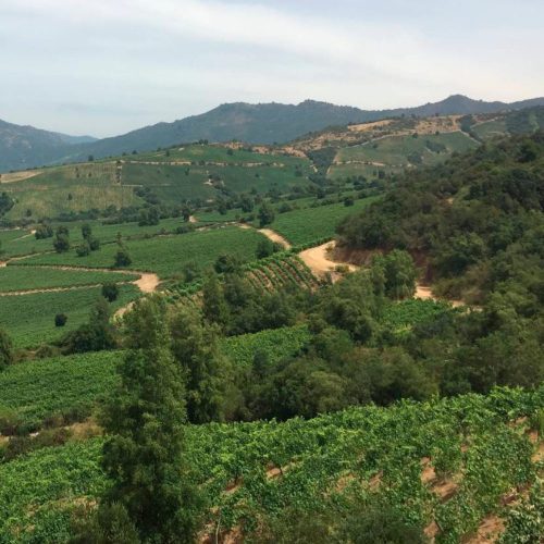 Marcando un hito: UOH será sede del 74° Congreso Agronómico de Chile