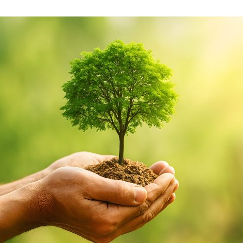 Sostenibilidad como desafío: académicos UOH abordan problemáticas ambientales en el Día Mundial del Medio Ambiente