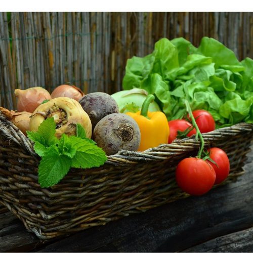 Día de la Inocuidad Alimentaria: el rol de la ciencia en el consumo de alimentos seguros