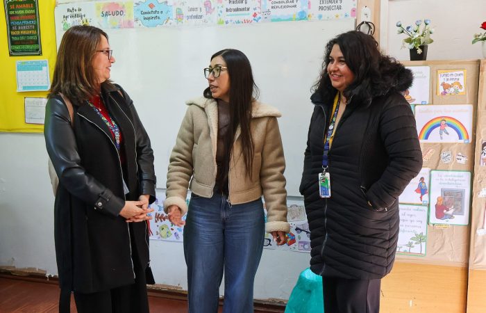 Fotos entrega estufas escuela San Fernando (4 de 5) Universidad de O’Higgins realiza donación de estufas a Escuela Gaspar Marín de San Fernando
