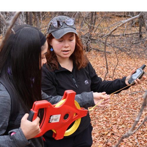 Estudiantes de Ingeniería Ambiental UOH exploran el Santuario de la Naturaleza Alto Huemul