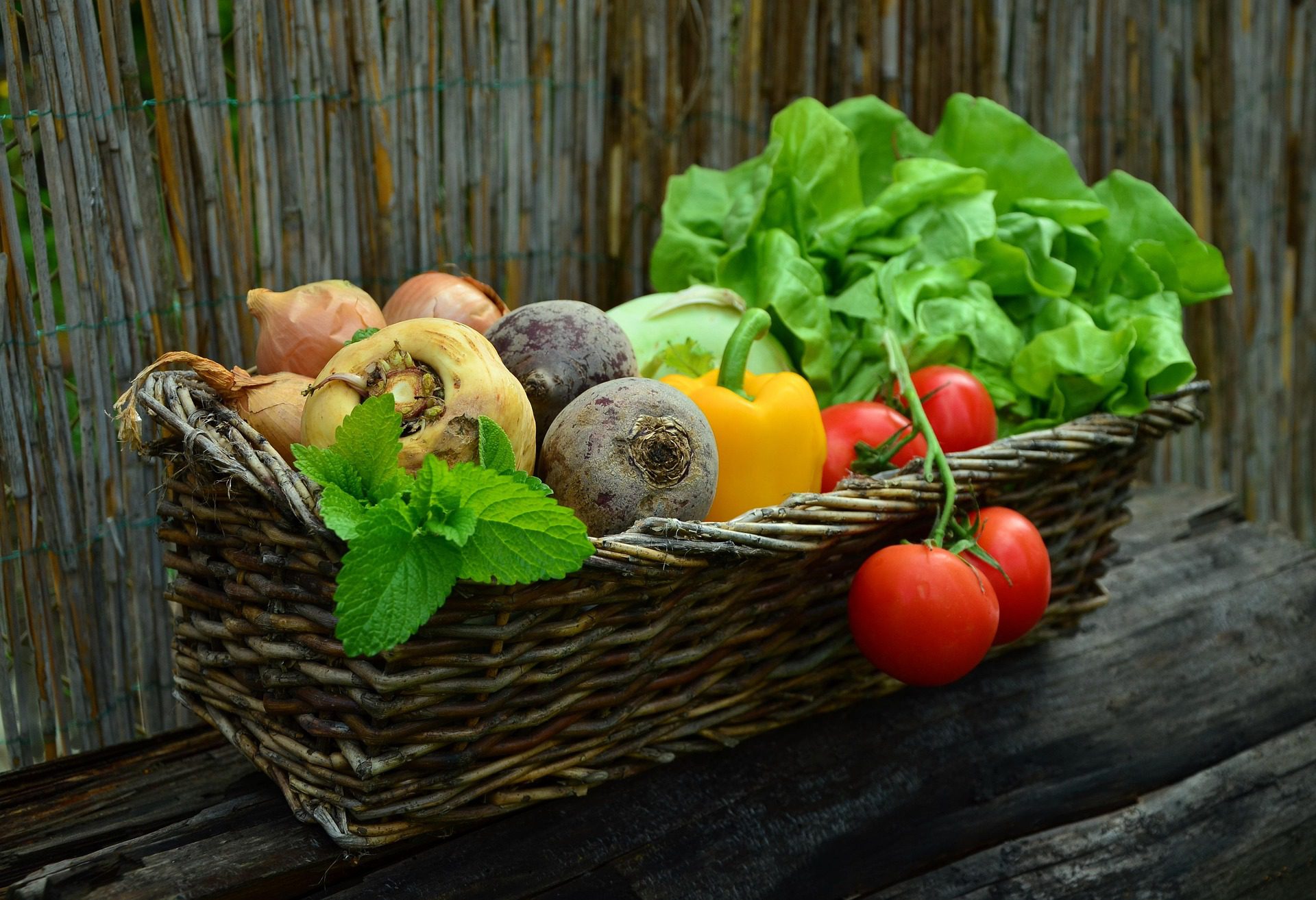 Día de la Inocuidad Alimentaria