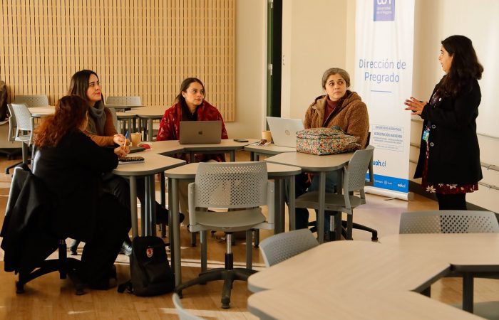 Marco de Docencia de Calidad UOH (4) Marco de Docencia de Calidad UOH (4)