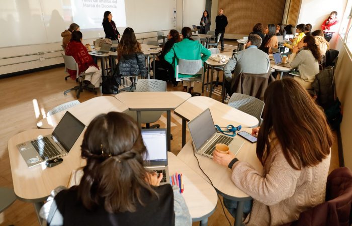 Marco de Docencia de Calidad UOH (5) Marco de Docencia de Calidad UOH