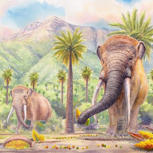 Los frutos perdidos de la Megafauna: científicos confirman teoría de hace 40 años