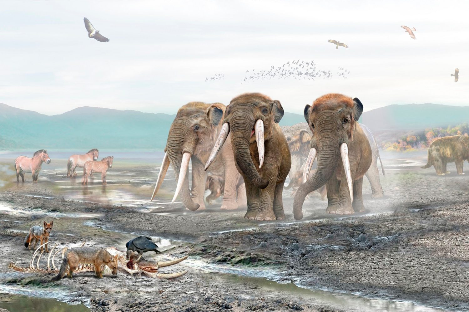 Megafauna