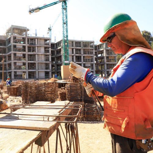 Ocupación interanual ratifica crecimiento