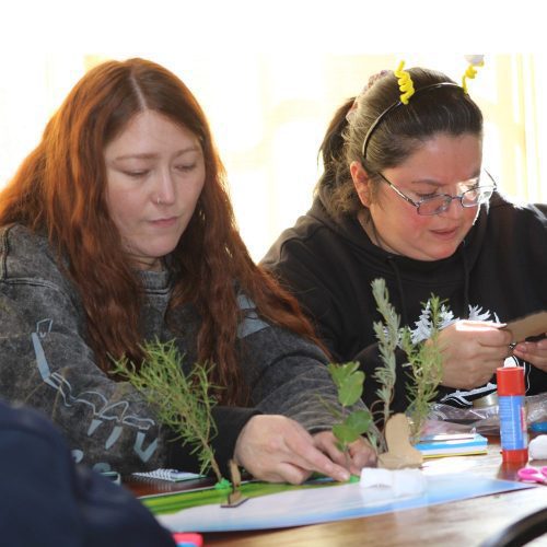 Programa de Indagación para Primeras Edades reunió a 127 educadoras y técnicos de las tres provincias de O’Higgins