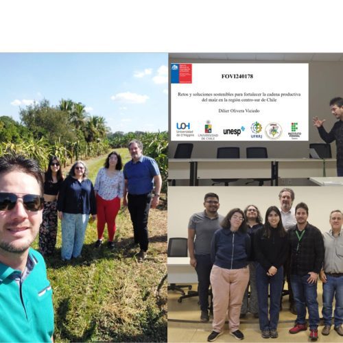 Estudiantes y académicos de la UOH realizan pasantía en universidades brasileñas