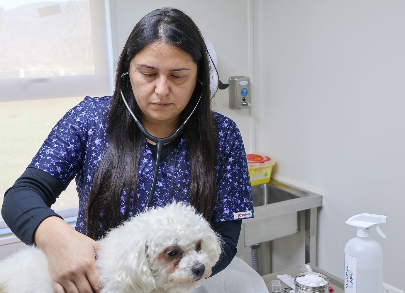 Centro de Atención Veterinario Docente