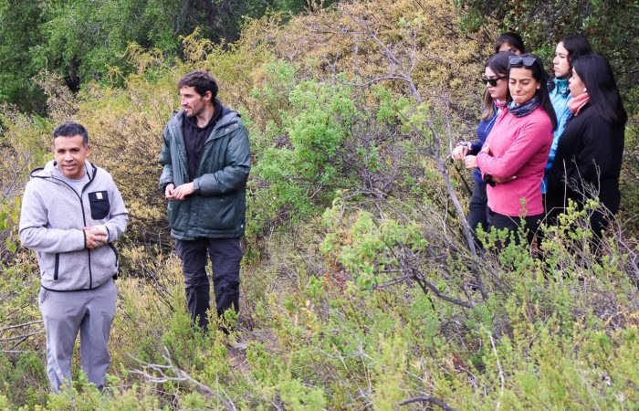 Ingeniería Ambiental UOH