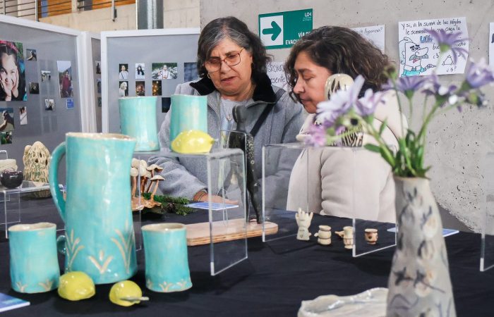 Cierre Cursos de Extensión Colchagua-14