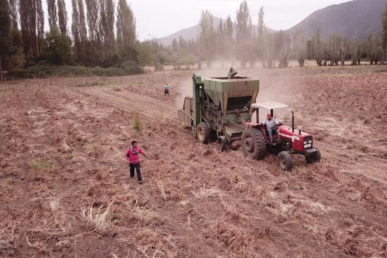 Conectar con las raíces: claves para repensar el emprendimiento juvenil rural en un agro desvalorizado