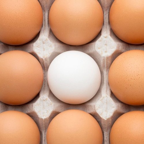 Académica UOH advierte riesgos sanitarios por ingreso ilegal de huevos al país