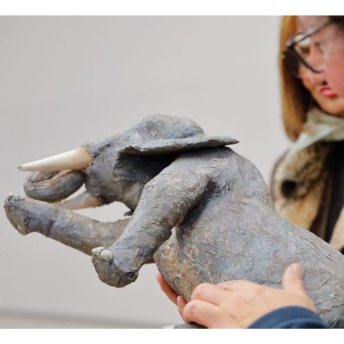 Una temporada invernal para expresarse, construir y crecer en comunidad