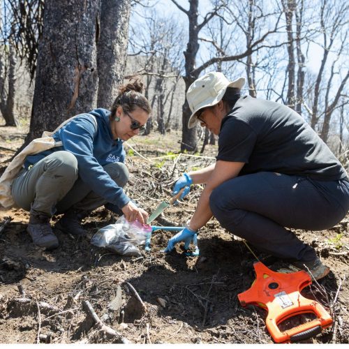 Investigación y conservación de suelos: una misión permanente en la Universidad de O’Higgins
