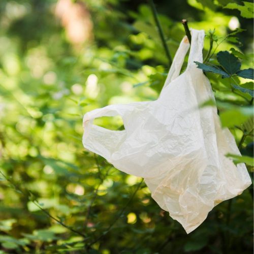 Desafíos del reciclaje de bolsas plásticas en Chile: académicos UOH proponen mejoras técnicas, legislativas y culturales