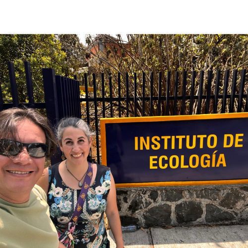 Académica UOH fortalece colaboración científica con UNAM para enfrentar vectores y parásitos en América Latina