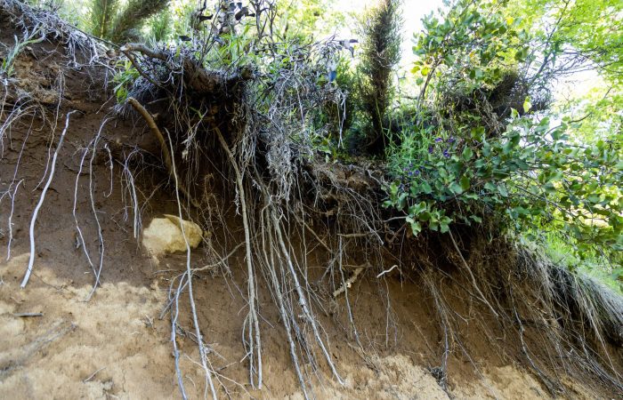 proyecto suelosç-48