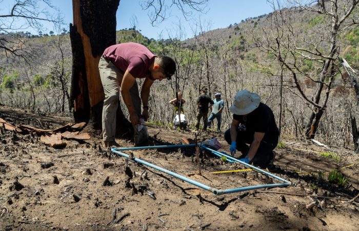 proyecto suelosç-66