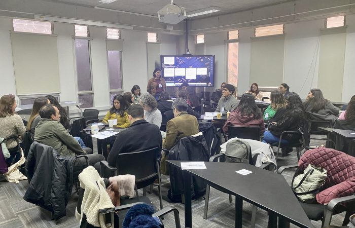 Programas de Tutorías Pares