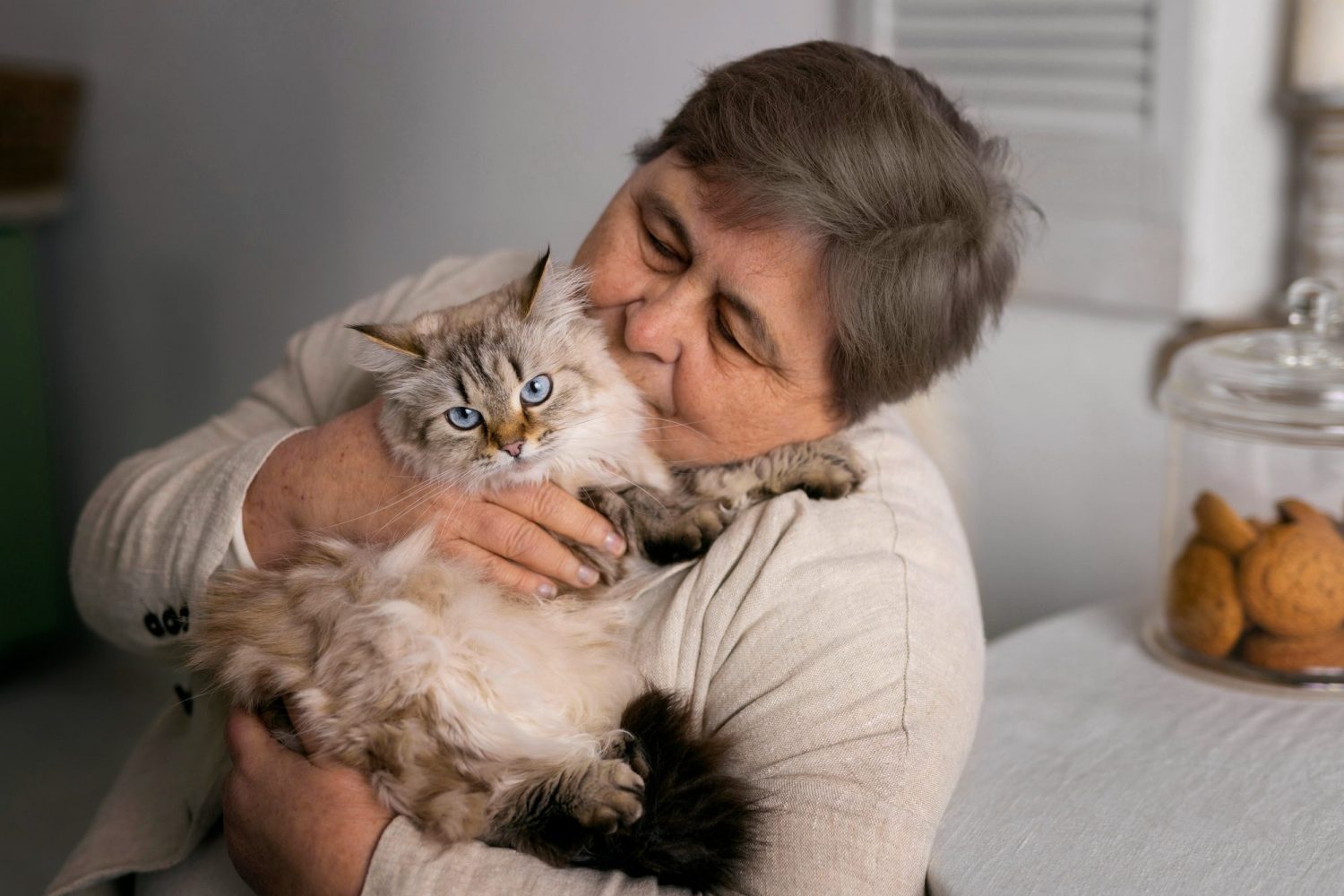 Día internacional del gato