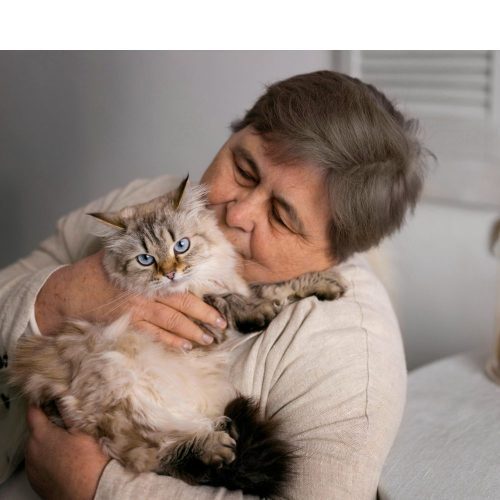 Más que compañía: lo que debes saber sobre los gatos en su día internacional