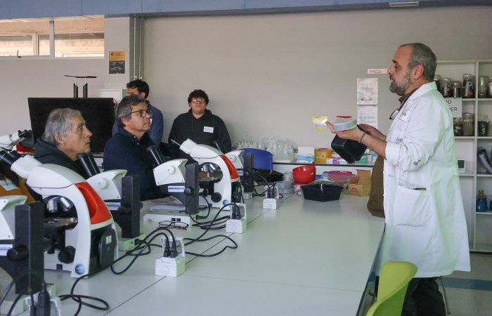 Nemátodos en frutilla