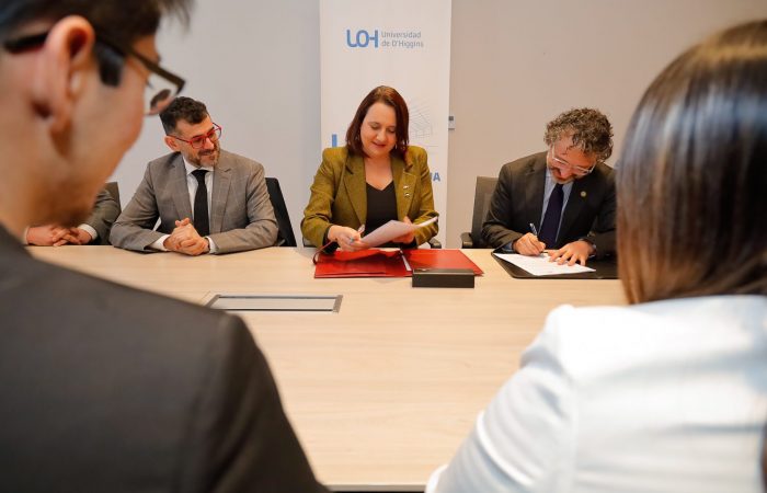 Consejo de Defensa del Estado