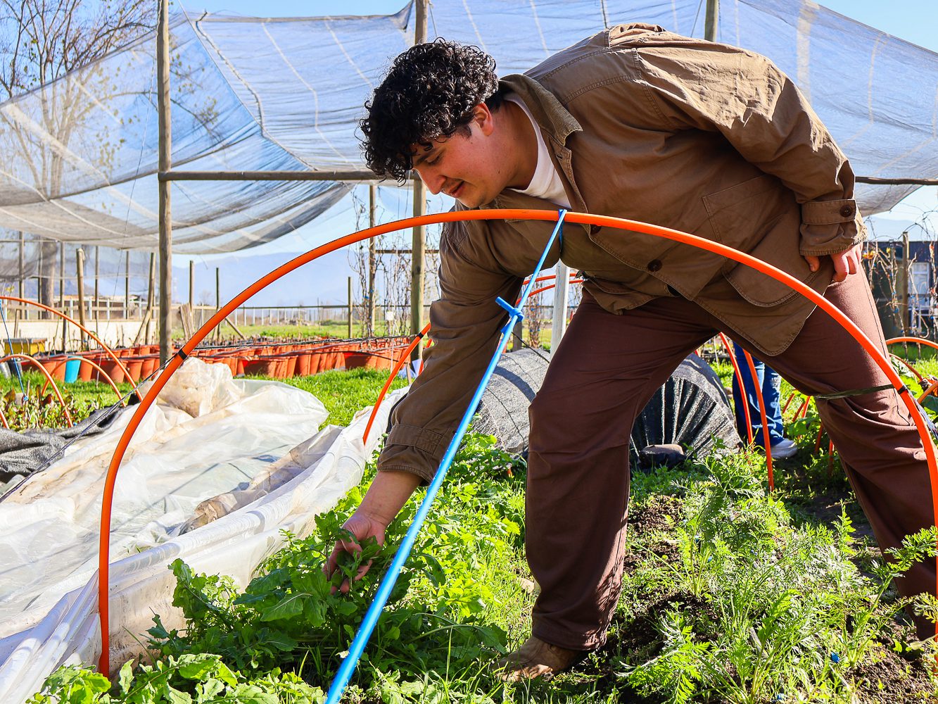 Ingeniería Agronómica