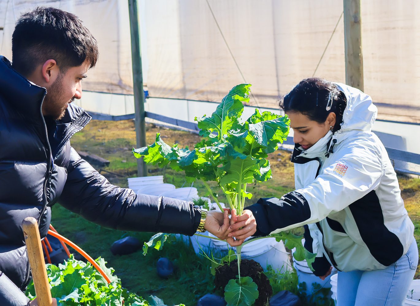 UOH refuerza el rol del ingeniero agrónomo frente a los desafíos agrícolas y ambientales de Chile