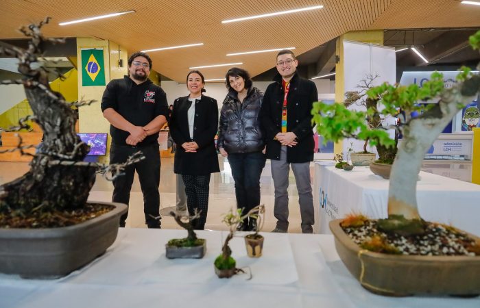 Jornada Global Japón - Bonsai-8 Jornada Global: Japón