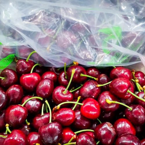 UOH impulsa innovaciones en postcosecha con seminario “Ciencia para más y mejor fruta”