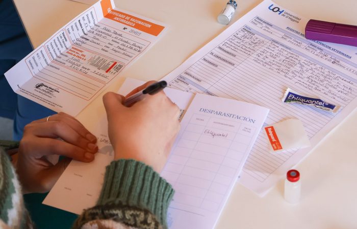 Estudiantes de Medicina Veterinaria UOH realizan operativo preventivo en Peumo