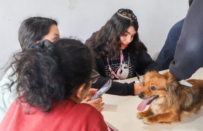 Estudiantes de Medicina Veterinaria UOH realizan operativo preventivo en Peumo