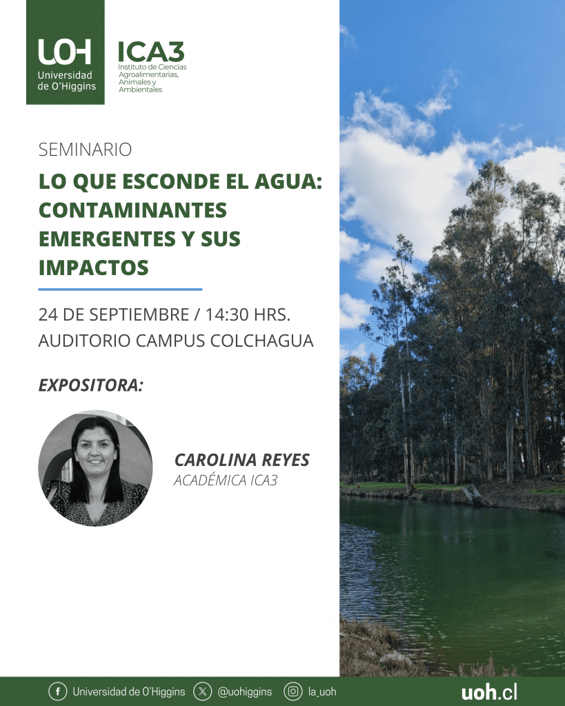 Seminario ICA3