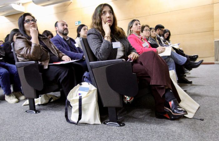 PACE UOH reúne a profesionales de liceos adscritos para abordar perfiles de egreso y puesta en marcha de Ley TEA