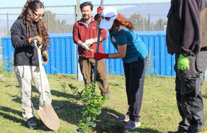 Día Nacional del Medioambiente