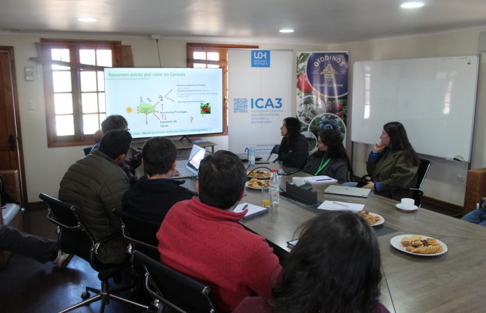 IMG_1505 UOH impulsa innovaciones prácticas en producción de cerezos frente al cambio climático