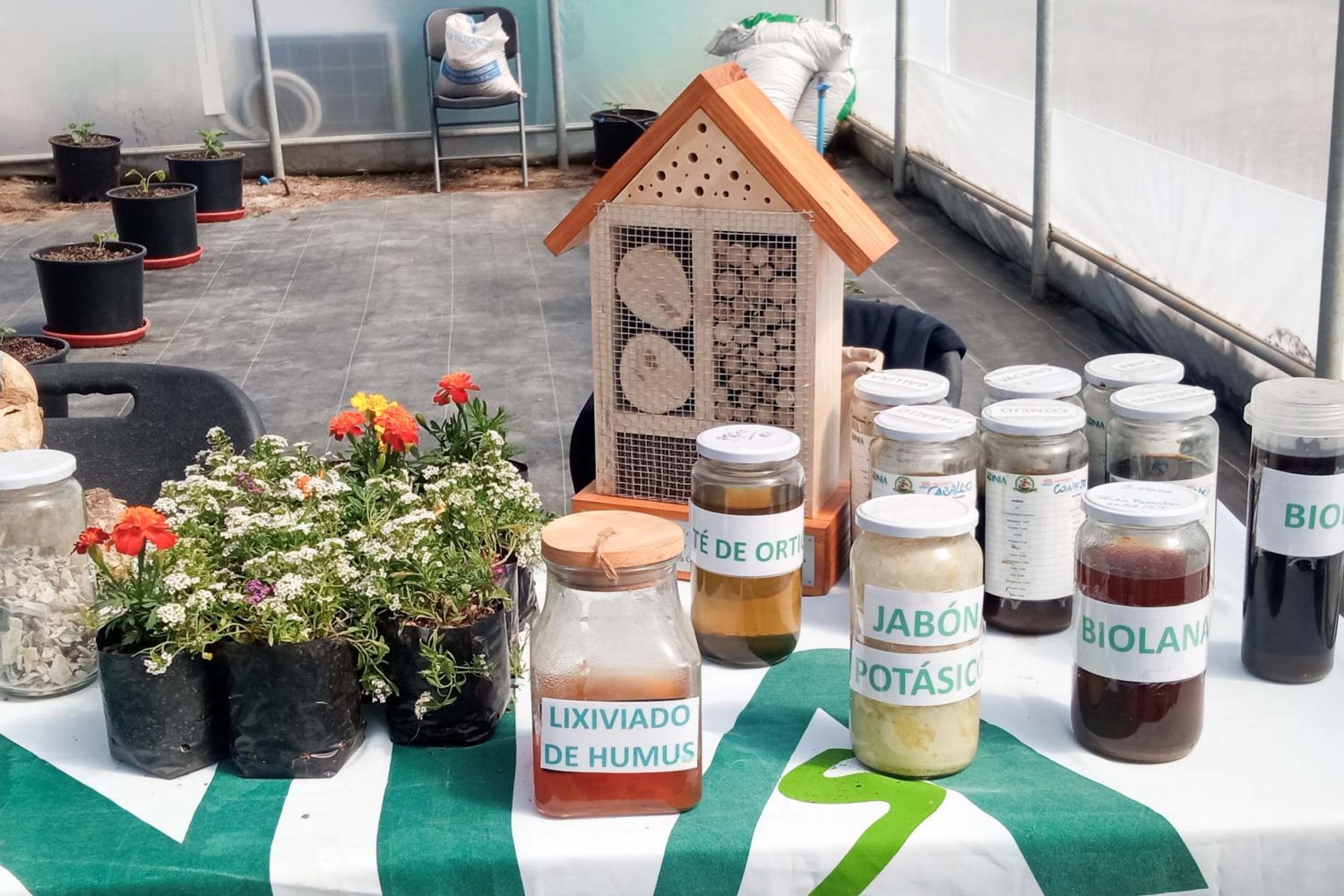 Ingeniería Agronómica afianza su vínculo con la investigación regional en visita al Centro INIA Rayentué