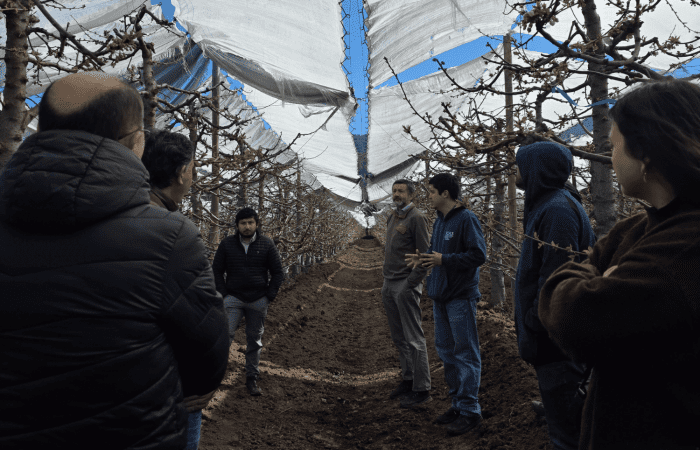 UOH impulsa innovaciones prácticas en producción de cerezos frente al cambio climático UOH impulsa innovaciones prácticas en producción de cerezos frente al cambio climático