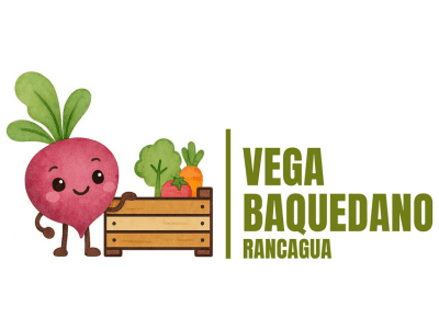 Vega Baquedano Vega Baquedano