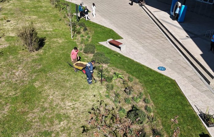 Campus Colchagua UOH