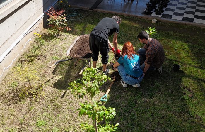 Campus Colchagua UOH