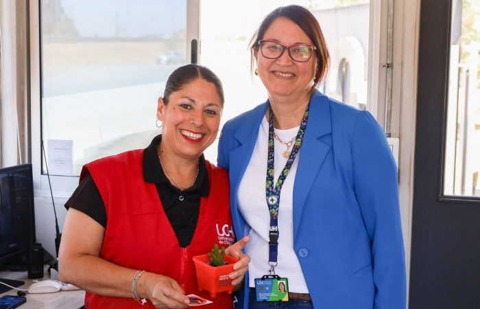 Día Internacional de la Eliminación de las Violencias contra las Mujeres