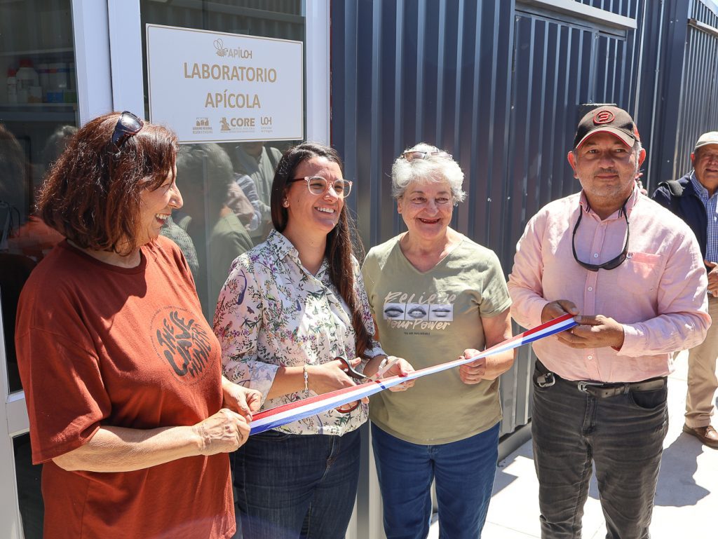 Foto Corte Cinta Región de O’Higgins impulsa su apicultura con laboratorio apícola y apiario demostrativo
