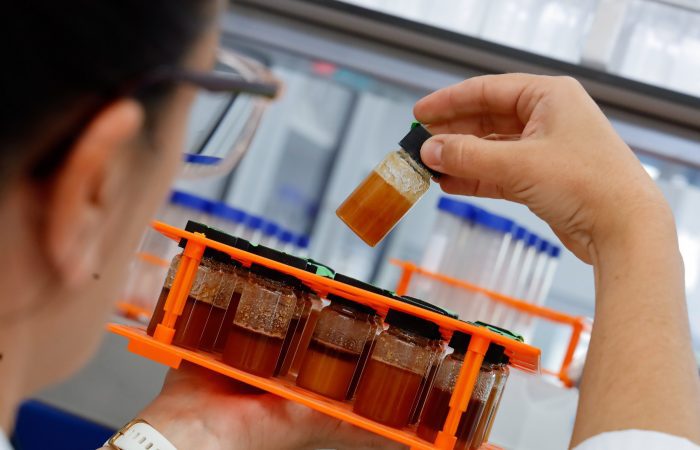 Foto Lab 2 Región de O’Higgins impulsa su apicultura con laboratorio apícola y apiario demostrativo