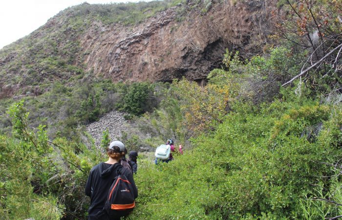 Ingeniería Ambiental UOH