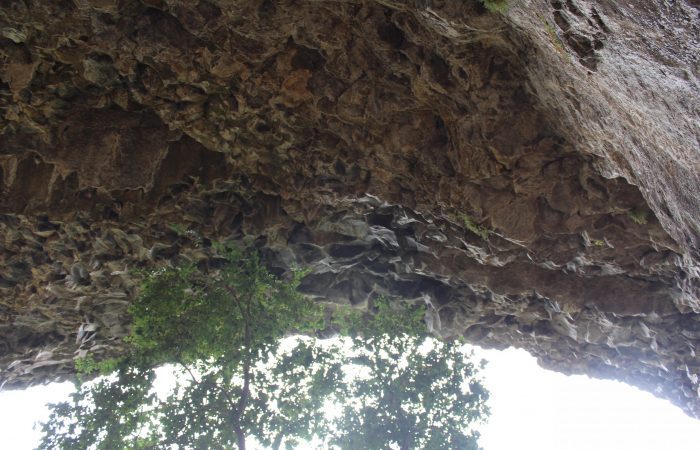 Ingeniería Ambiental UOH