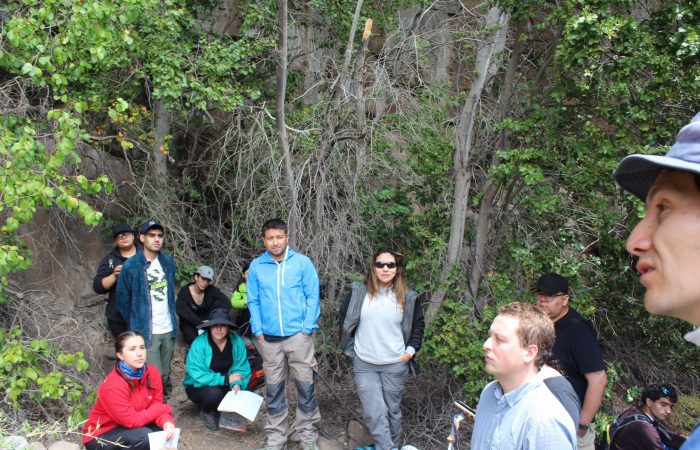 Ingeniería Ambiental UOH